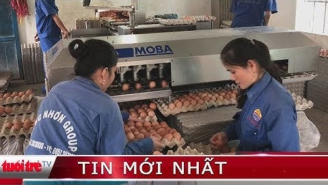⚡ Tin mới nhất | Ứng dụng công nghệ 4.0 vào sản xuất nông nghiệp