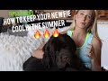 HOW TO KEEP YOUR NEWFIE COOL IN THE SUMMER の動画、YouTube動画。