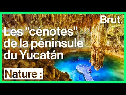 Vidéo: Où sont les cenotes dans le monde ?