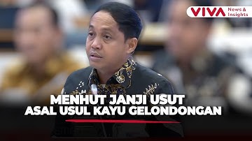 Menhut Raja Juli Bahas Asal Usul Kayu Gelondongan yang Terbawa Banjir Bandang di Sumatera