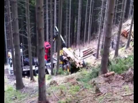 🌲*Mounty 5000* • Gebirgsharvester Konrad-Forsttechnik • Seilbahn • Forstbetrieb Senfter• Part-1🌲