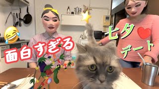 猫がギョッとした！美人すぎる織姫とイケメン彦星のデート(Funny Star Festival,  Cat is surprised at beautiful Vega and Altair)