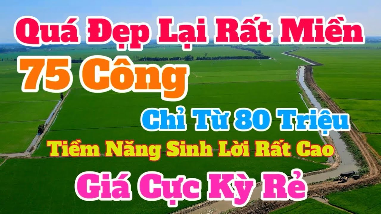 (Số 892) Cần Tiền Bán Gấp👉75 Công-Giá Quá Rẻ | Sỡ Hữu 340 Mét Mặt Tiền/ Tiềm Năng Sinh Lời Rất Cao