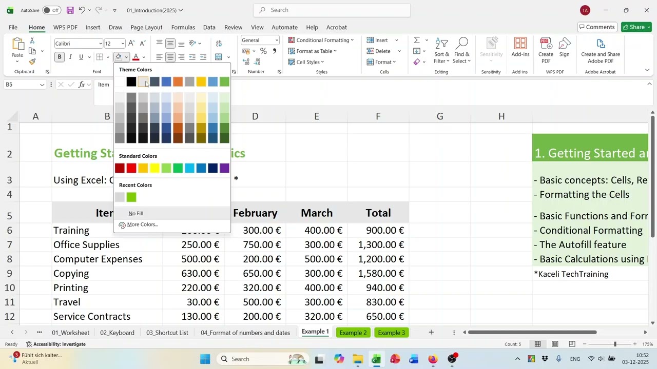 HSWT | MFM| Business Informatics | Excel | 1 - Introduction
