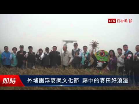 外埔幽浮麥樂文化節 霧中的麥田好浪漫 - 外埔幽浮麥樂文化節 霧中的麥田好浪漫
