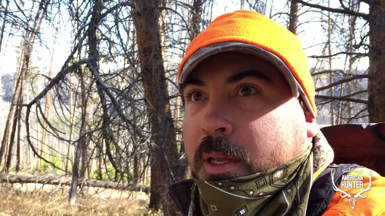 Traditional Archery Elk Hunt Pt. 2 350 inch Bull Elk + Bull Moose