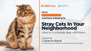 Webinar Stray Cats In Your Neighborhood - 04/14/26