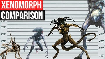XENOMORPH Size Comparison 2022 | Biggest Alien