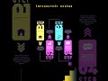 Top Types of Graphic Design You Should Learn in 2026 19