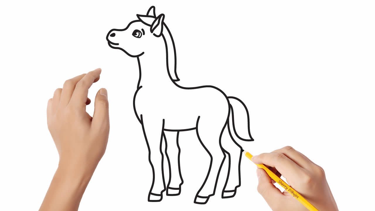 Cómo dibujar un potro | Dibujos sencillos - YouTube