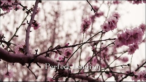 Perfect Leading in Scribus 1.4.6