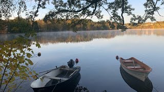 autumnal swedish nature