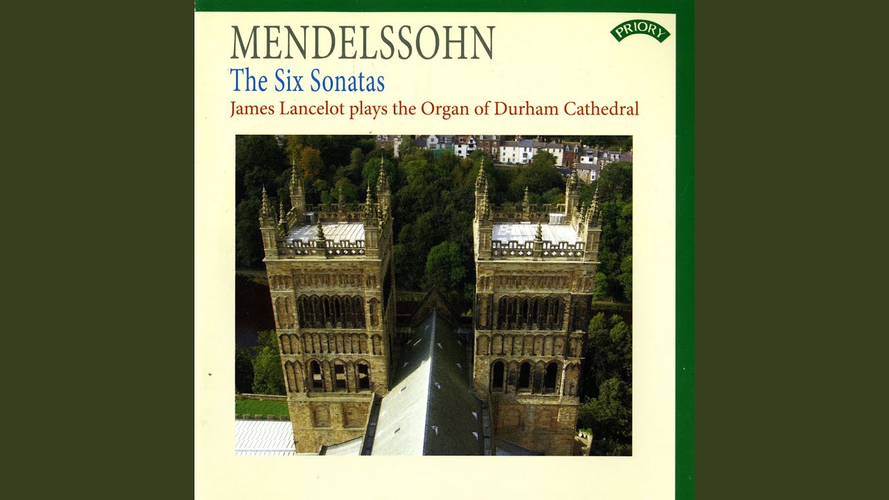 Organ Sonata No. 6 in D Minor, Op. 65, MWV W 61: Ib. Allegro molto