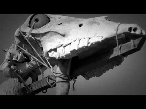 DODSFERD "To the Fall of Man" Official Music Video