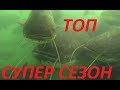 Запрещенное Видео!Рыбакам не смотреть!!Подводная охота на сома 2020.