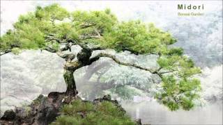 Midori - Bonsai Garden (Full Album)