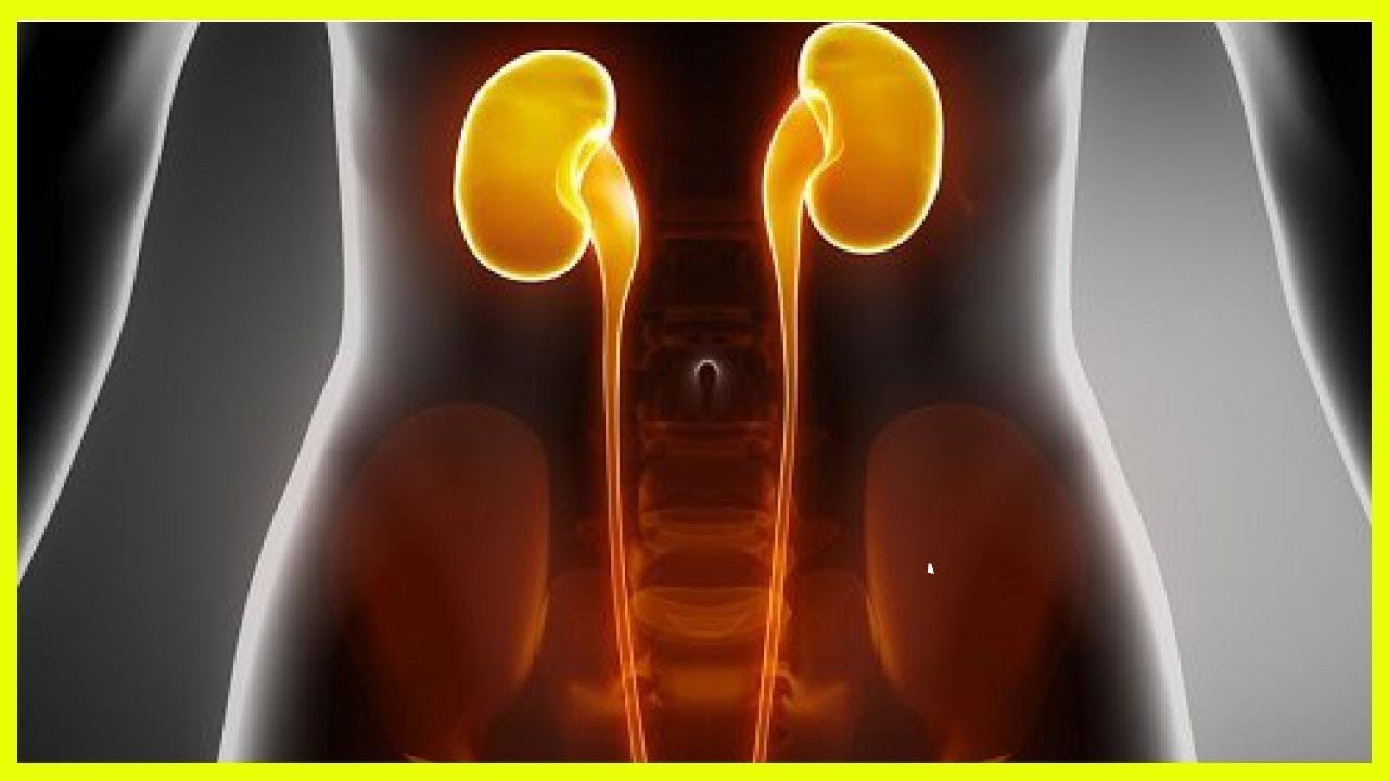 Симптомы заболевания почек - YouTube