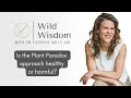 Is The Plant Paradox Approach Healthy Or Harmful? | Dr. Patricia Mills, Wholistic MD