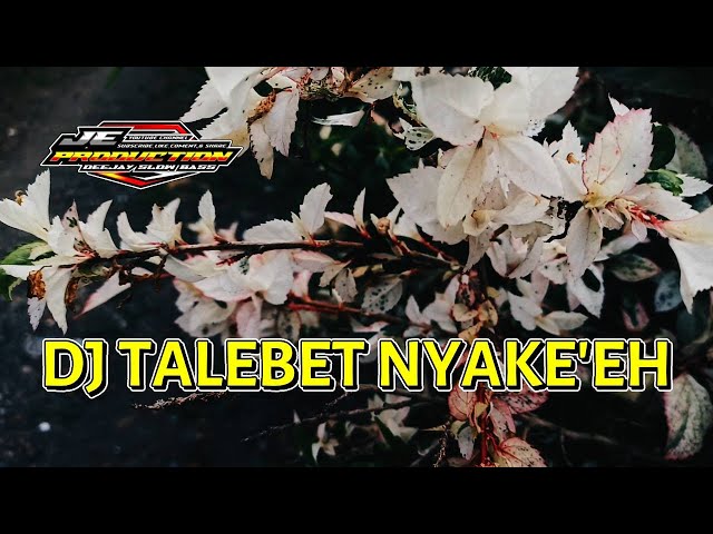 DJ Talebet Nyake'eh Trap X Slowbass | Voc. Muzida class=