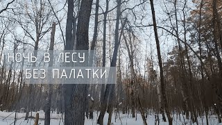НОЧЬ В ЛЕСУ БЕЗ ПАЛАТКИ|Camp in the winter forest