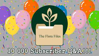 10 000 Subscriber Q&A!