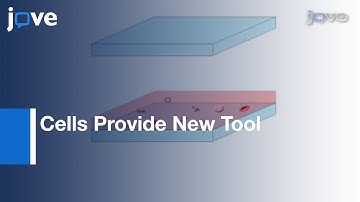 Lensless On-Chip Imaging: High-Throughput Cell-Biology & Medical Diagnostics l Protocol Preview