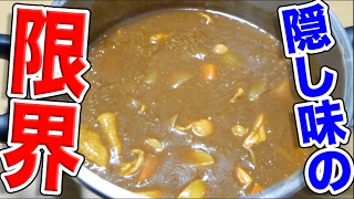 【検証】 カレーの隠し味(チョコ)の量の限界はどれぐらい？