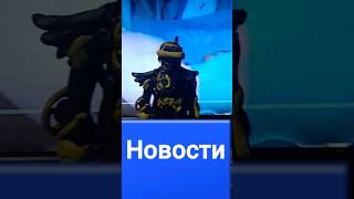 skibidi toilet 1041, новости 13 #дуэт #лайкни #дафакбум #reverbedition #юмор