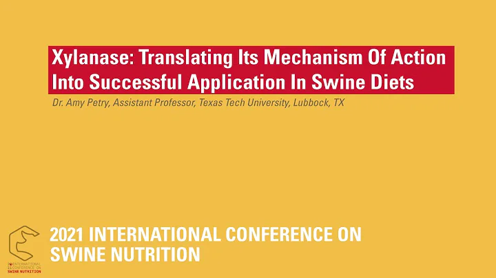 Dr. Amy Petry: Translating xylanase's mechanism of action into successful application in swine diets