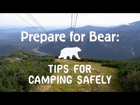 Video: Kā saglabāt savu suni drošu, atrodoties nometnē Bear Country