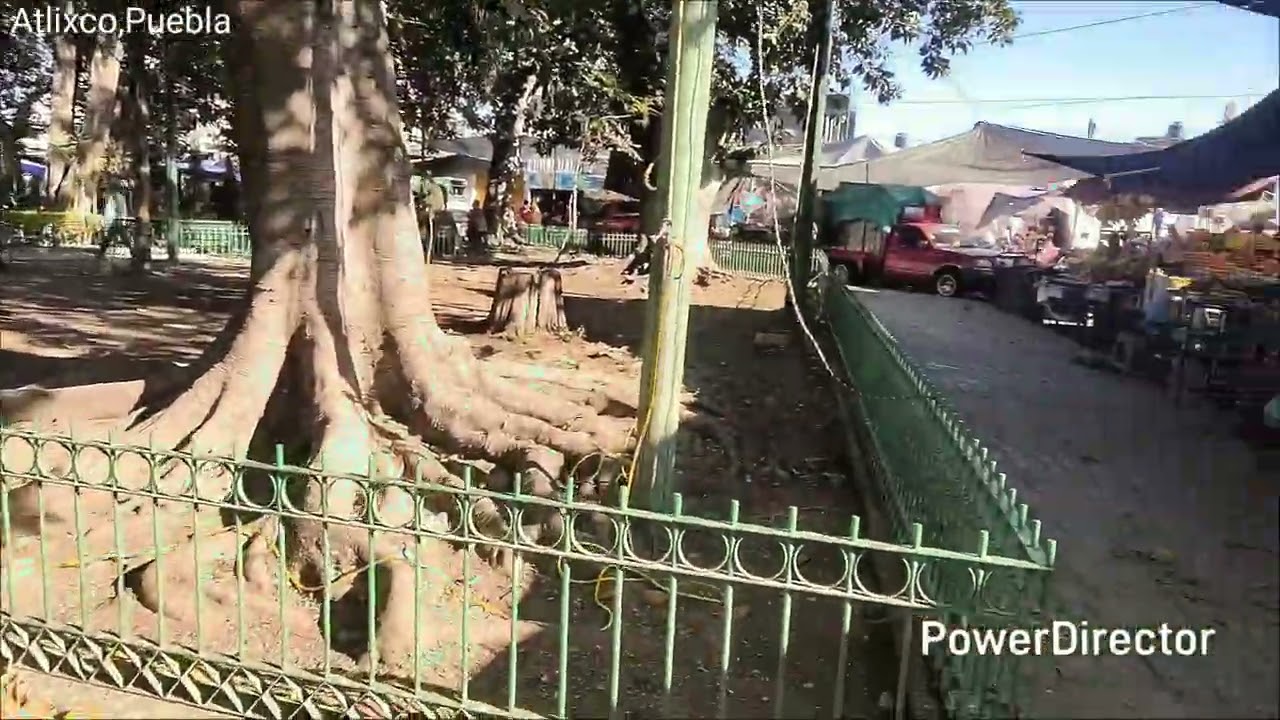 Atlixco,Puebla,Verdura