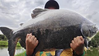 You need to see this place, we couldn't stand catching any more