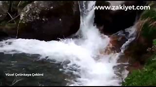 Zakiyette Doğa Canlanırken