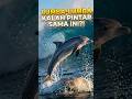 Bukan Lumba-Lumba! Ini Makhluk Paling Jenius di Samudra! #shorts #tanahlangit #pausbeluga