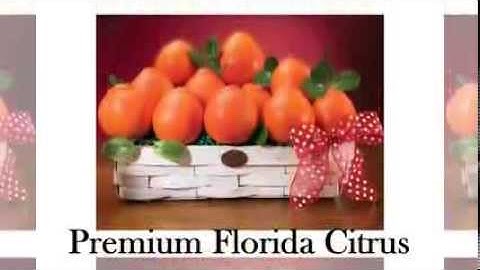 Hale Groves - Hale Groves Coupon Code