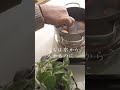 高すぎて震えた。皆様の地域はhow much ?生活音asmr egg Egg EGG🥚