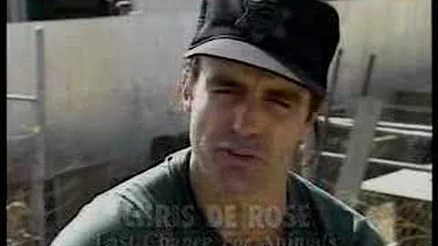 Chris DeRose: This actor is a hero for animals!