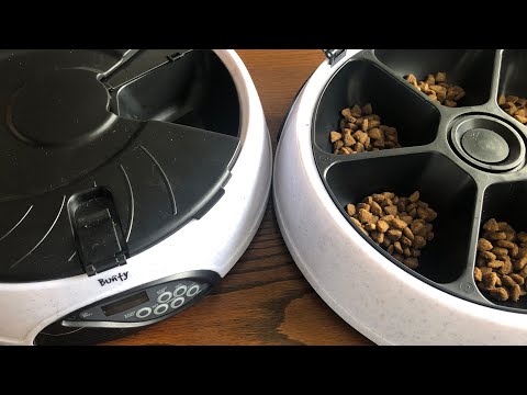 Wideo: Dlaczego Potrzebujesz Automatycznego Karmnika Dla Kotów?