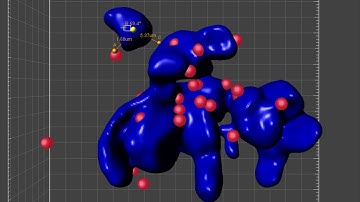 How to precisely measure distances and angles in 3D microscopy data?-Tutorial