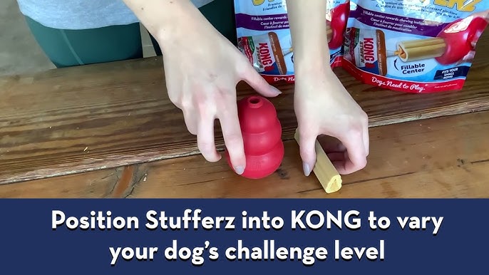 Kong Treatster Treat Dispenser - Large