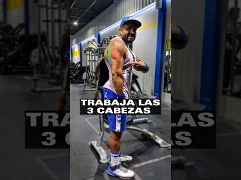 Video: ¿Las flexiones de tríceps funcionan con la cabeza larga?