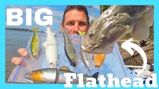MY FAVOURITE SWIMBAITS FOR BIG FLATHEAD and how to fish them! 