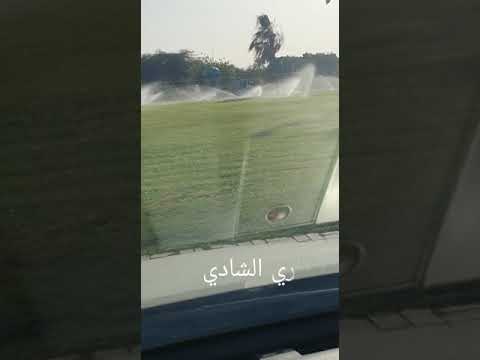 ابوذيات ساري الشادي حاول يتحدى ويجاري ويسوي حاله نفسي