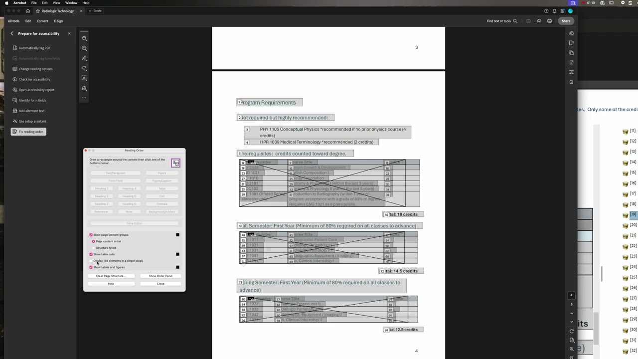 PDF Accessibility Table Cell Reading Order Error - Shelli