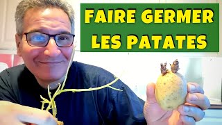 Comment faire germer les pommes de terre (avant de les planter au potager) ?