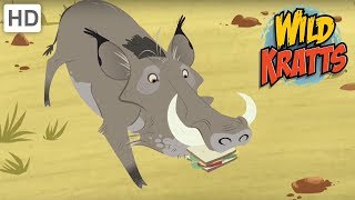 Wild Kratts - A Lion Against A Warthog. Who Will Win | Kids Videos