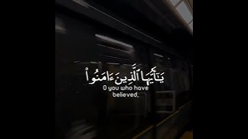 إن الله وملائكته يصلون على النبي يا أيها الذين آمنوا صلوا عليه سورة الأحزاب القارئ عبدالرحمن مسعد