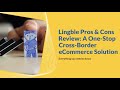 Lingble pros  cons review tips to select best optimal cross border ecommerce webshop solution