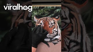 Artist Creates A Realistic Tiger Drawing || Viralhog