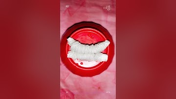 HOW TO MADE A INSECT || #trending #insects  #viral #shorts